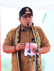 Read more about the article Peringati Hari Bakti PUPR ke-77, Gubernur Lampung Ikuti Kegiatan Penanaman Pohon