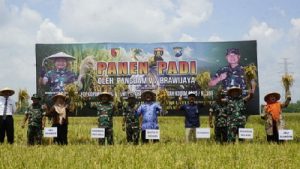 Read more about the article Dandim Dampingi Danrem 081/Dsj Panen Padi di Wilayah Kodim 0805/ Ngawi