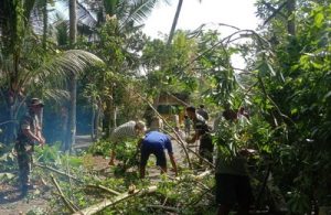 Read more about the article Babinsa Koramil 0806/06 Gandusari Bersama Warga Gotong Royong Bersihkan Ranting Pohon
