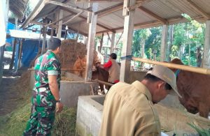 Read more about the article Pelda Mulyanto Dampingi Nakeswan Laksanakan Vaksinasi Sapi dan Kambing