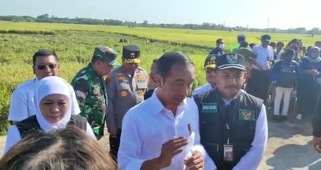 Read more about the article Panen Raya di Ngawi, Presiden Jokowi: Produktivitas Pertanian Tiap Daerah Berbeda