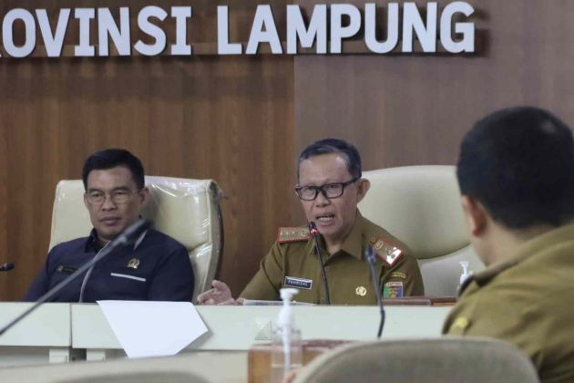 Read more about the article Pemerintah Provinsi Lampung dan DPRD Sepakati Solusi Terkait Gaji Guru P3K