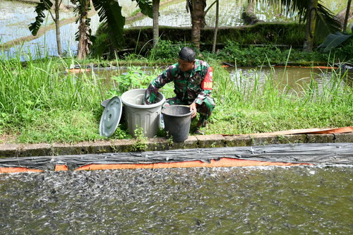 You are currently viewing Babinsa Kreatif Dari Kodim 0802/Ponorogo Yang Sukses Usaha Ternak Lele