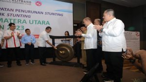 Read more about the article Wabup Asahan Ikuti Forum Koodinasi Percepatan Stunting Provsu