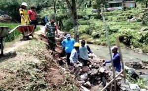 Read more about the article Babinsa Ngrambe Kerja Bakti bersama Warga Bangun Talud di Area Persawahan