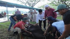 Read more about the article Idul Adha 1444 H, Pemerintah Kabupaten Asahan Sembelih 125 Hewan Qurban