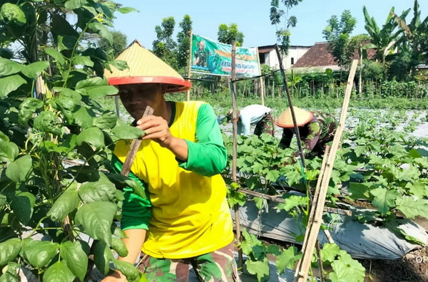 You are currently viewing Gado-Gado Bosbow, Beda dari Lainnya