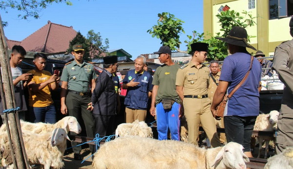 You are currently viewing Jelang Idul Adha, Dandim 0806/Trenggalek bersama Forkopimda Pantau Harga Pasar