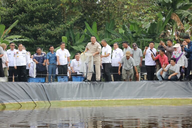 Read more about the article Gubernur Panen Perdana Udang Vaname Air Tawar