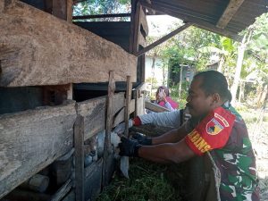 Read more about the article Cegah PMK, Babinsa Rejomulyo Dampingi Petugas DKPP Lakukan Vaksinasi.