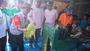 Read more about the article Panen Tembakau di Ngawi Capai 2.500 Ton