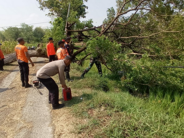 You are currently viewing Babinsa Koramil Dagangan bersama Warga Bersihkan Pohon Tumbang