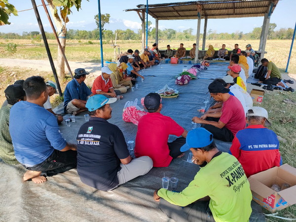 You are currently viewing Hasil Panen Padi Melimpah, Babinsa bersama Petani Gelar Syukuran