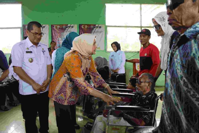 Read more about the article Ibu Riana Sari Serahkan Bantuan Kursi Roda, Alat Bantu Jalan dan Dengar kepada Warga Tulang Bawang