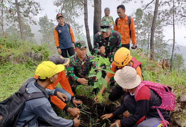 You are currently viewing 18.000 Bibit Pohon Siap Hijaukan Kembali Gunung Lawu
