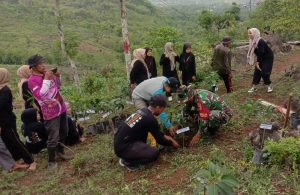 Read more about the article Harmoni Alam: Babinsa Gandusari dan Mahasiswa KKN Bersatu Mewujudkan Masa Depan Hijau di Puncak Sadewa