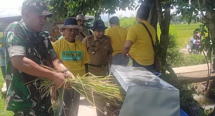 Read more about the article Cek Perkiraan Hasil Panen, Danramil Kebonsari Bersama Muspika Hadiri Ubinan Padi