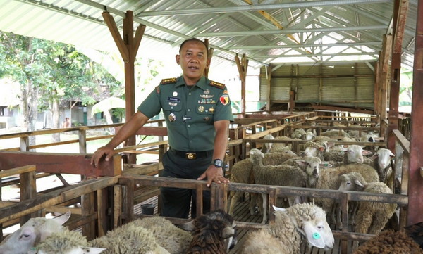 Read more about the article Antisipasi Darurat Pangan, Danrem 081/DSJ Eksperimen Ternak Domba