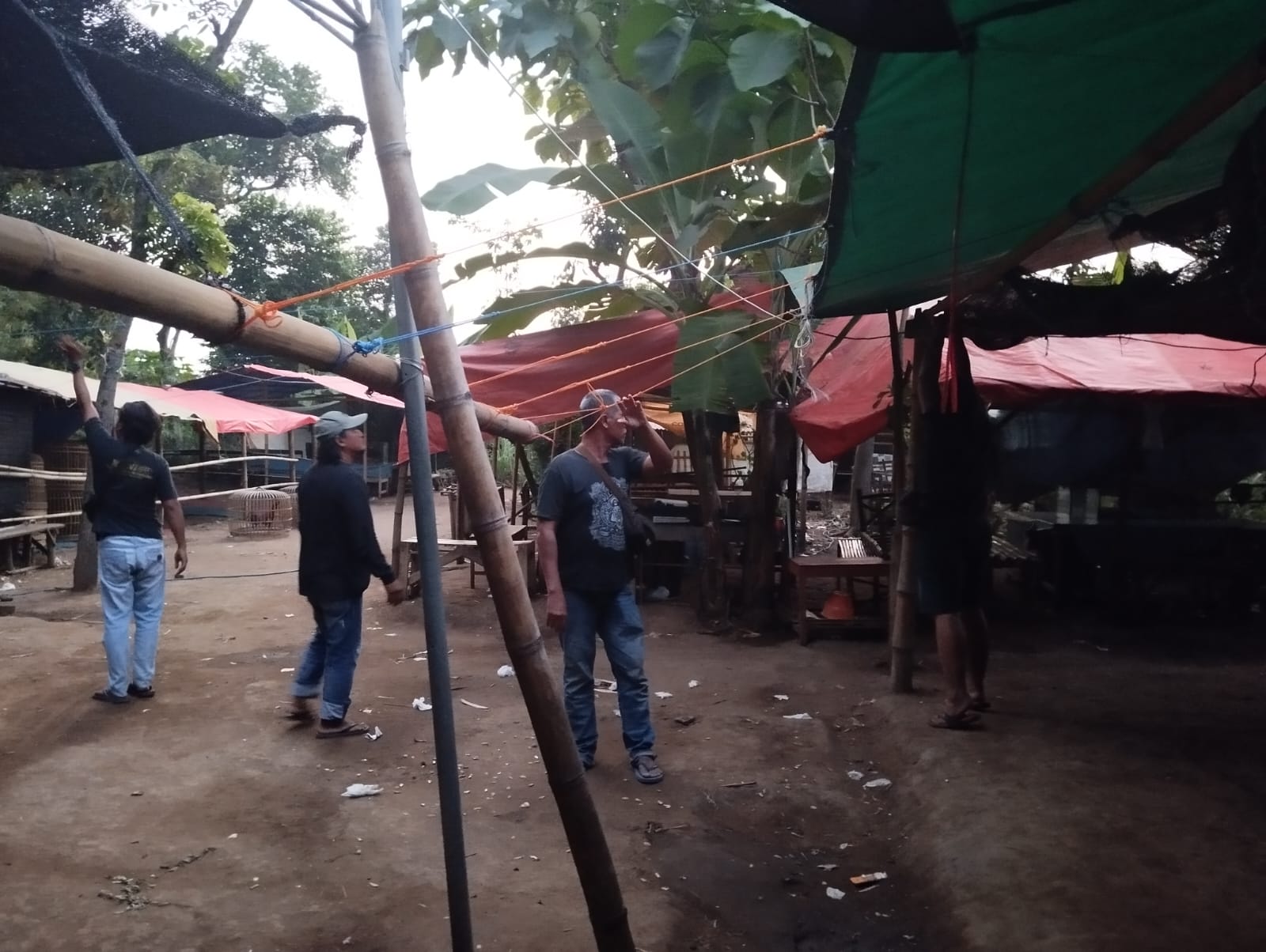 Read more about the article Polres Nganjuk Grebek Judi Sabung Ayam