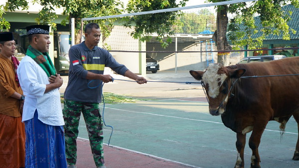 Read more about the article Peringati Idul Adha 1445 H, Korem 081/DSJ Salurkan Daging Kuban