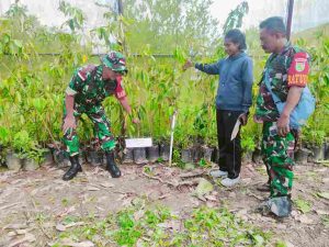 Read more about the article Babinsa dan Dinas Pertanian: Aksi Penghijauan di Timika