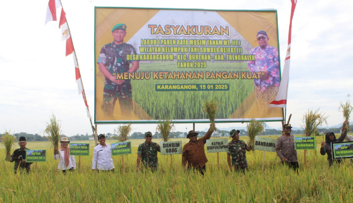 You are currently viewing Panen Raya Trenggalek, TNI dan Petani Wujudkan Swasembada Pangan Nasional