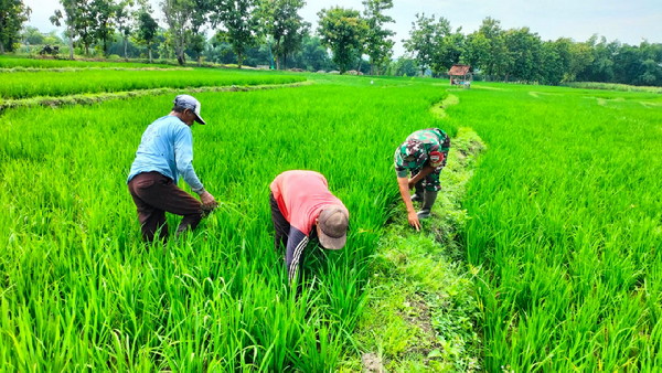 You are currently viewing Empat Satuan Jajaran Korem 081/DSJ Lampaui Target LTT