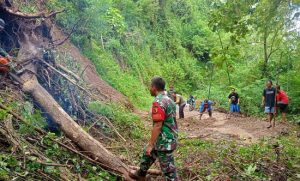 Read more about the article Jalan Tertutup Longsor, TNI-Polri dan BPBD Hadir Jadi Harapan Warga Trenggalek