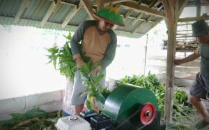 Read more about the article Peternak di Madiun Puji Kemampuan Mesin Pencacah Buatan Denpal V/1