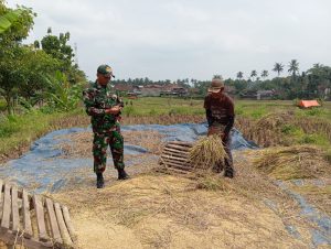 Read more about the article Babinsa Kodim Ponorogo Aktif Lakukan Pendampingan Terhadap Petani