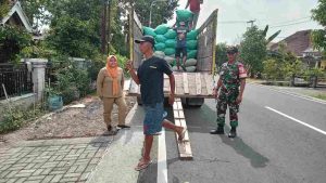 Read more about the article Anggota Koramil 0803-05/Wungu Dampingi Serapan Gabah di Desa Karangrejo