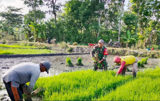 You are currently viewing Ketahanan Pangan dan Dampaknya Bagi Bangsa Indonesia