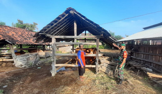 You are currently viewing Babinsa Kodim Ponorogo Komsos Dengan Peternak Sapi