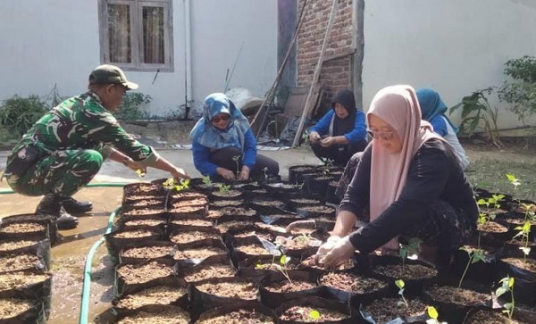 You are currently viewing Babinsa Kodim Ponorogo Pendampingan Program Pangan Lestari