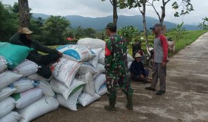 Read more about the article Pendampingan dan Pengawalan Petani Tugas Rutin Babinsa Kodim Ponorogo