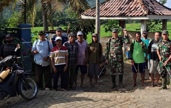 Read more about the article TNI-PPL dan Petani Trenggalek Bersatu Lawan Wereng