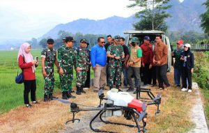 Read more about the article Sawah Diserang Wereng, TNI Turun Tangan!