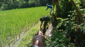 Read more about the article Babinsa Kodim Ponorogo Bantu Petani Bersihkan Irigasi Sawah