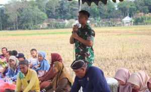 Read more about the article TNI dan Pemkab Trenggalek Guyub Panen Padi, Jaga Tradisi & Ketahanan Pangan