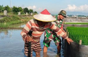 Read more about the article Serka Adi Dampingi Petani Pasang Pelindung Benih Padi