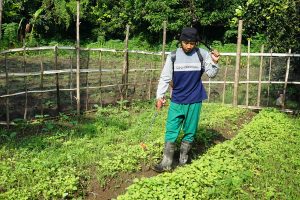 Read more about the article Dari Tanah Kering, Tumbuh Harapan Mulia Seorang Prajurit