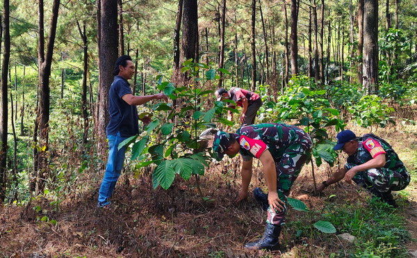 You are currently viewing Dua Tahun Berlalu, Kondisi Terkini Lokasi Kebakaran Hebat di Gunung Lawu