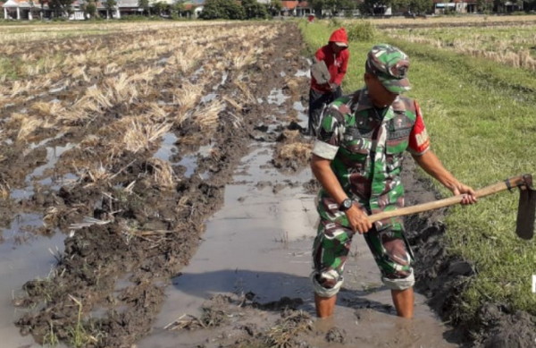 You are currently viewing Perkuat Ketahanan Pangan, Serma Muyoto Bantu Petani Benahi Pematang Sawah