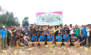 Read more about the article Forkopimda Lamtim Panen Raya Jagung di Raman Aji