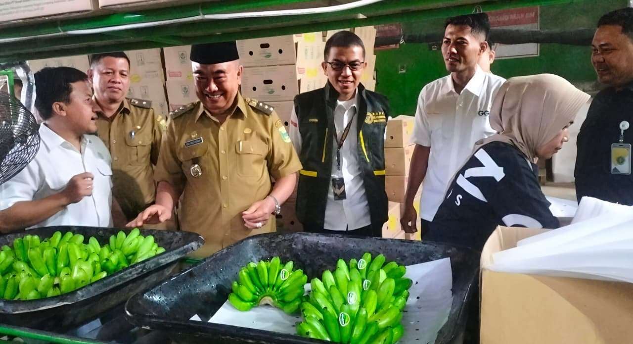 Read more about the article Bupati Tanggamus Lepas Ekspor Pisang Mas dan Manggis