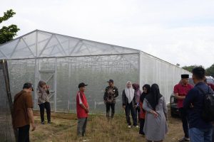 Read more about the article Bupati Mesuji Tinjau BUMDes Melon di Gedung Boga