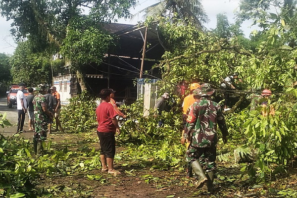Read more about the article TNI–BPBD Sigap Evakuasi Pohon Jambu Tumbang di Sumberdadi Trenggalek