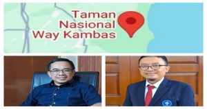Read more about the article Perdagangan Karbon Jadi Opsi Pendanaan Lingkungan di Lampung