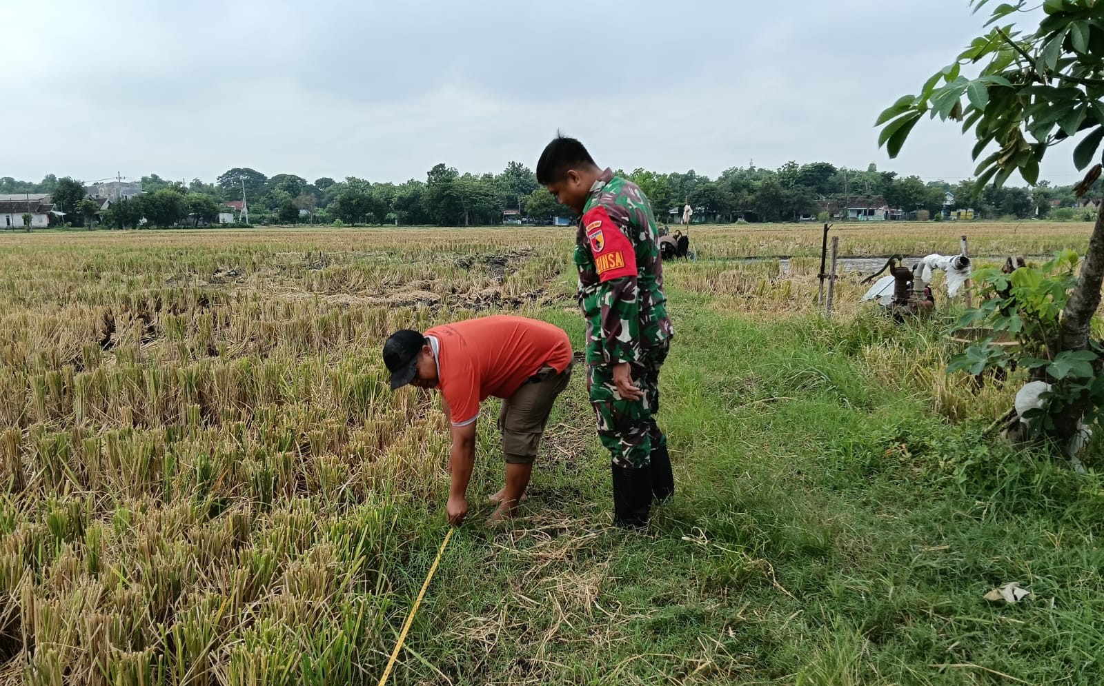 Read more about the article Babinsa Nglames Dampingi Pengukuran Sawah Bengkok untuk Pembangunan Sekolah Rakyat