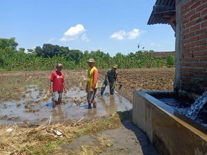 Read more about the article Demi Padi yang Tumbuh Subur, Babinsa Sendangrejo Turun Langsung Dampingi Olah Lahan